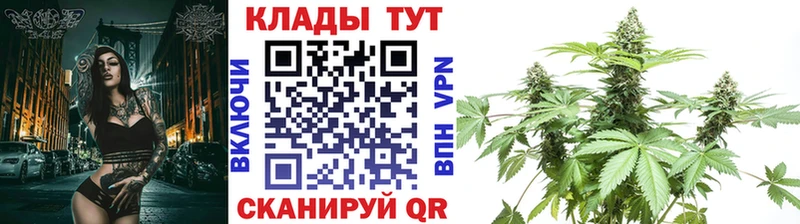 Купить наркотик аптеки Вяземский СОЛЬ Бошки Шишки kraken tor Cocaine Псилоцибиновые грибы