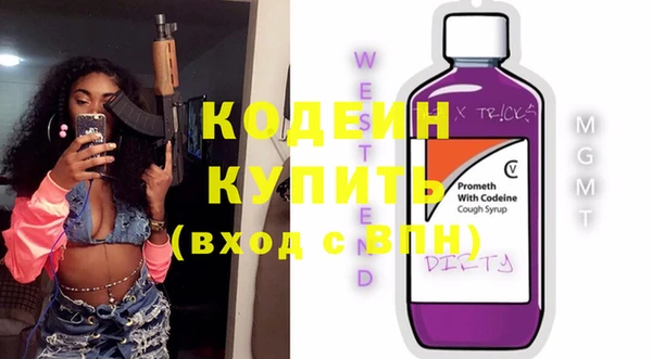 ПСИЛОЦИБИНОВЫЕ ГРИБЫ Арсеньев
