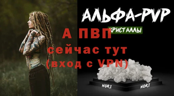 дживик Аркадак