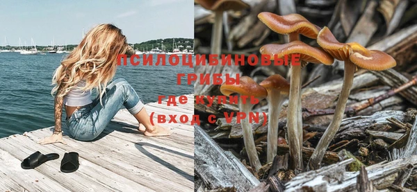 дживик Аркадак