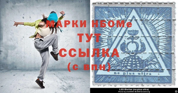 ПСИЛОЦИБИНОВЫЕ ГРИБЫ Арсеньев