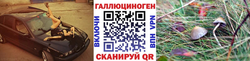 Псилоцибиновые грибы ЛСД  Вяземский 